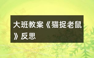 大班教案《貓捉老鼠》反思