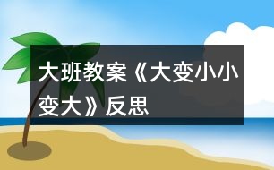 大班教案《大變小,小變大》反思