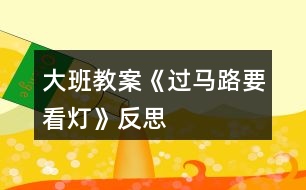 大班教案《過馬路要看燈》反思