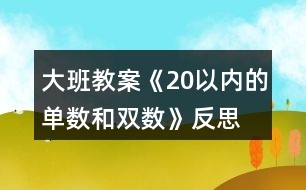 大班教案《20以內(nèi)的單數(shù)和雙數(shù)》反思