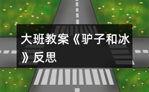 大班教案《驢子和冰》反思