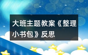 大班主題教案《整理小書包》反思