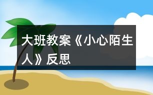 大班教案《小心陌生人》反思