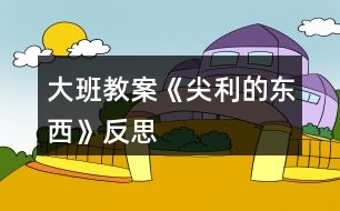 大班教案《尖利的東西》反思