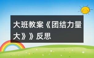 大班教案《團結(jié)力量大》》反思