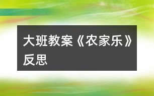 大班教案《農(nóng)家樂(lè)》反思