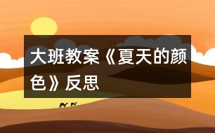 大班教案《夏天的顏色》反思