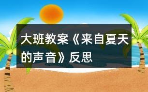 大班教案《來(lái)自夏天的聲音》反思