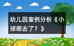 幼兒園案例分析《小球哪去了？》