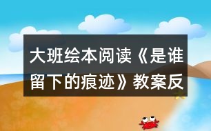 大班繪本閱讀《是誰(shuí)留下的痕跡》教案反思