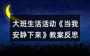 大班生活活動(dòng)《當(dāng)我安靜下來》教案反思