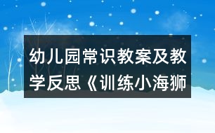 幼兒園常識教案及教學反思《訓練小海獅》