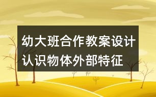 幼大班合作教案設(shè)計(jì)認(rèn)識(shí)物體外部特征