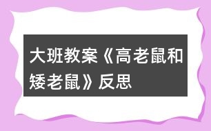 大班教案《高老鼠和矮老鼠》反思