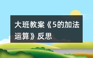 大班教案《5的加法運(yùn)算》反思