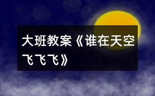 大班教案《誰(shuí)在天空飛飛飛》