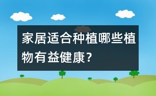 家居適合種植哪些植物有益健康？