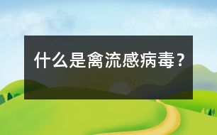 什么是禽流感病毒？