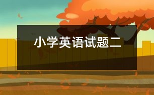 小學(xué)英語試題二