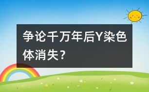 爭(zhēng)論：千萬(wàn)年后Y染色體消失？