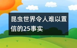 昆蟲世界令人難以置信的25事實(shí)