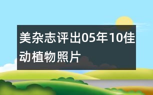 美雜志評出05年10佳動植物照片