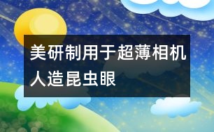 美研制用于超薄相機(jī)人造昆蟲(chóng)眼