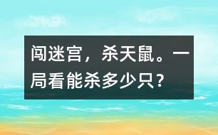 闖迷宮，殺天鼠。一局看能殺多少只？