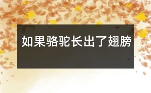 如果駱駝長出了翅膀