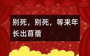 別死，別死，等來年長出苜蓿