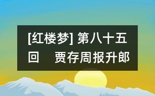 [紅樓夢] 第八十五回    賈存周報(bào)升郎中任  薛文起復(fù)惹放流刑