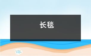 長(zhǎng)毯